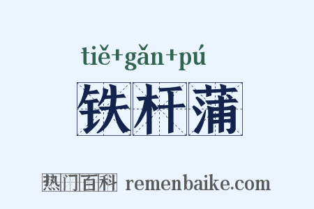 铁杆蒲是什么意思的图片